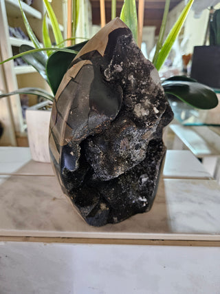Decorative Septarian Dragon Stone sculpture on a plant with a marble wall background

CHIQUE Rock Shop 