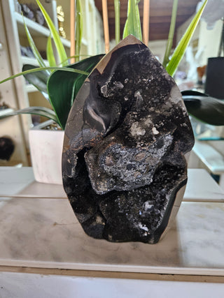 Decorative Septarian Dragon Stone sculpture on a plant with a marble wall background

CHIQUE Rock Shop 
