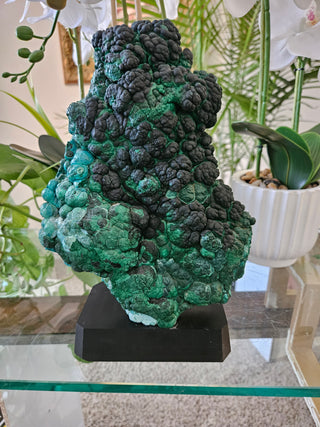 Velvet Malachite on Black Wooden Stand

CHIQUE Rock Shop