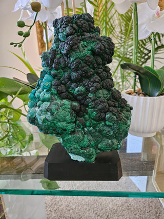 Velvet Malachite on Black Wooden Stand

CHIQUE Rock Shop