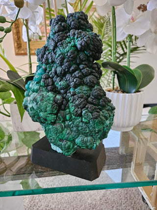 Velvet Malachite on Black Wooden Stand

CHIQUE Rock Shop