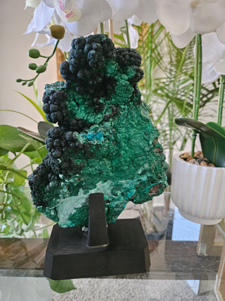Velvet Malachite on Black Wooden Stand

CHIQUE Rock Shop
