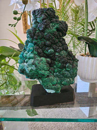 Velvet Malachite on Black Wooden Stand

CHIQUE Rock Shop