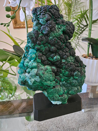 Velvet Malachite on Black Wooden Stand

CHIQUE Rock Shop