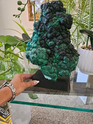 Velvet Malachite on Black Wooden Stand

CHIQUE Rock Shop