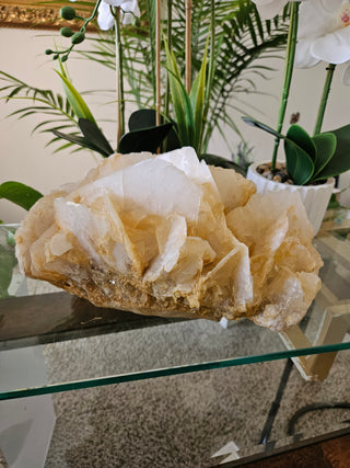 Yellow Calcite

CHIQUE Rock Shop