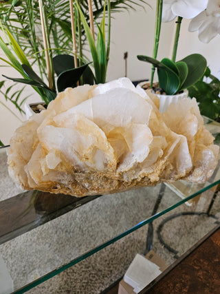 Yellow Calcite

CHIQUE Rock Shop