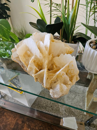 Yellow Calcite

CHIQUE Rock Shop