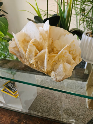 Yellow Calcite

CHIQUE Rock Shop