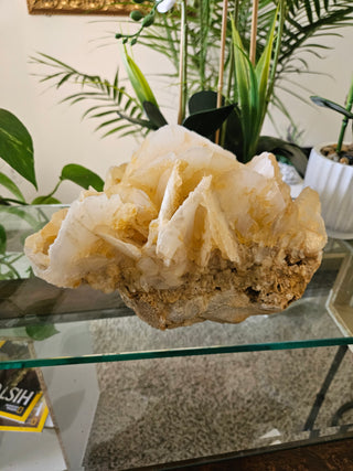Yellow Calcite

CHIQUE Rock Shop