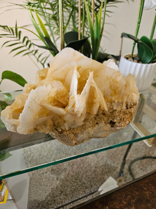 Yellow Calcite

CHIQUE Rock Shop