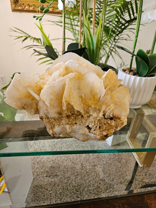 Yellow Calcite

CHIQUE Rock Shop