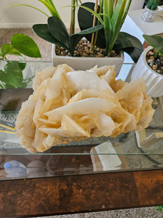 Yellow Calcite

CHIQUE Rock Shop