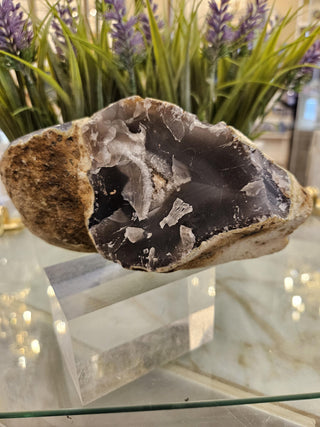Back Druzy Agate Geode, Blue and White

CHIQUE Rock Shop
