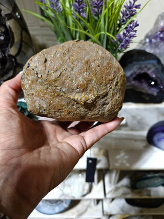 Dark Blue Agate Geode

CHIQUE Rock Shop
