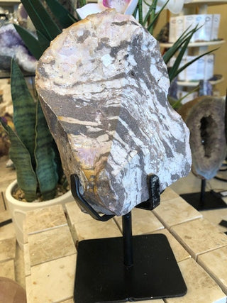 Zebra Jasper, Healing Stone, Home Deocr, Gift(2-26)
