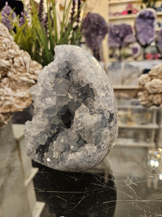 YES - Celestite Cluster, Celestite, Celestite Geode, Healing Crystal, Home Decor, Gift (56)
