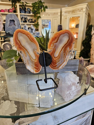Butterfly Agate, Orange Agate, on Metal Stand, Healing Crystal, Home Decor, Gift (67)