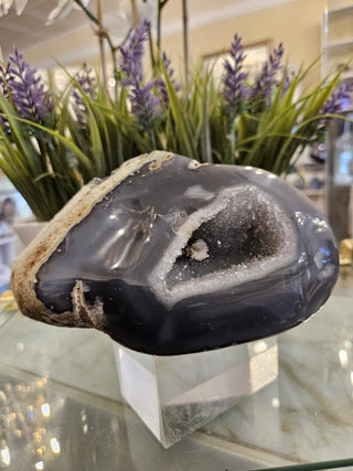 Druzy Agate Geode, Blue and White

CHIQUE Rock Shop