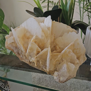 Yellow Calcite

CHIQUE Rock Shop