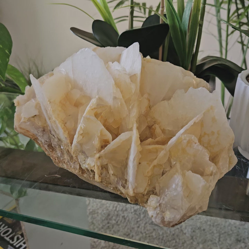 Yellow Calcite

CHIQUE Rock Shop