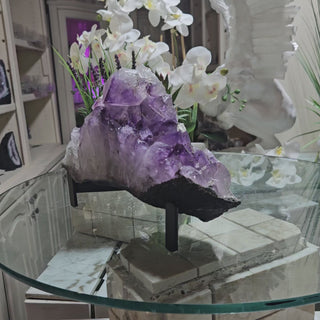 Amethyst on Metal Stand

CHIQUE Rock Shop 