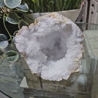 Crystal Clear Quartz Geode on a glass table with plants in the background

CHIQUE Rock Shop