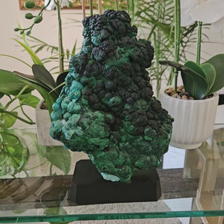 Velvet Malachite on Black Wooden Stand

CHIQUE Rock Shop