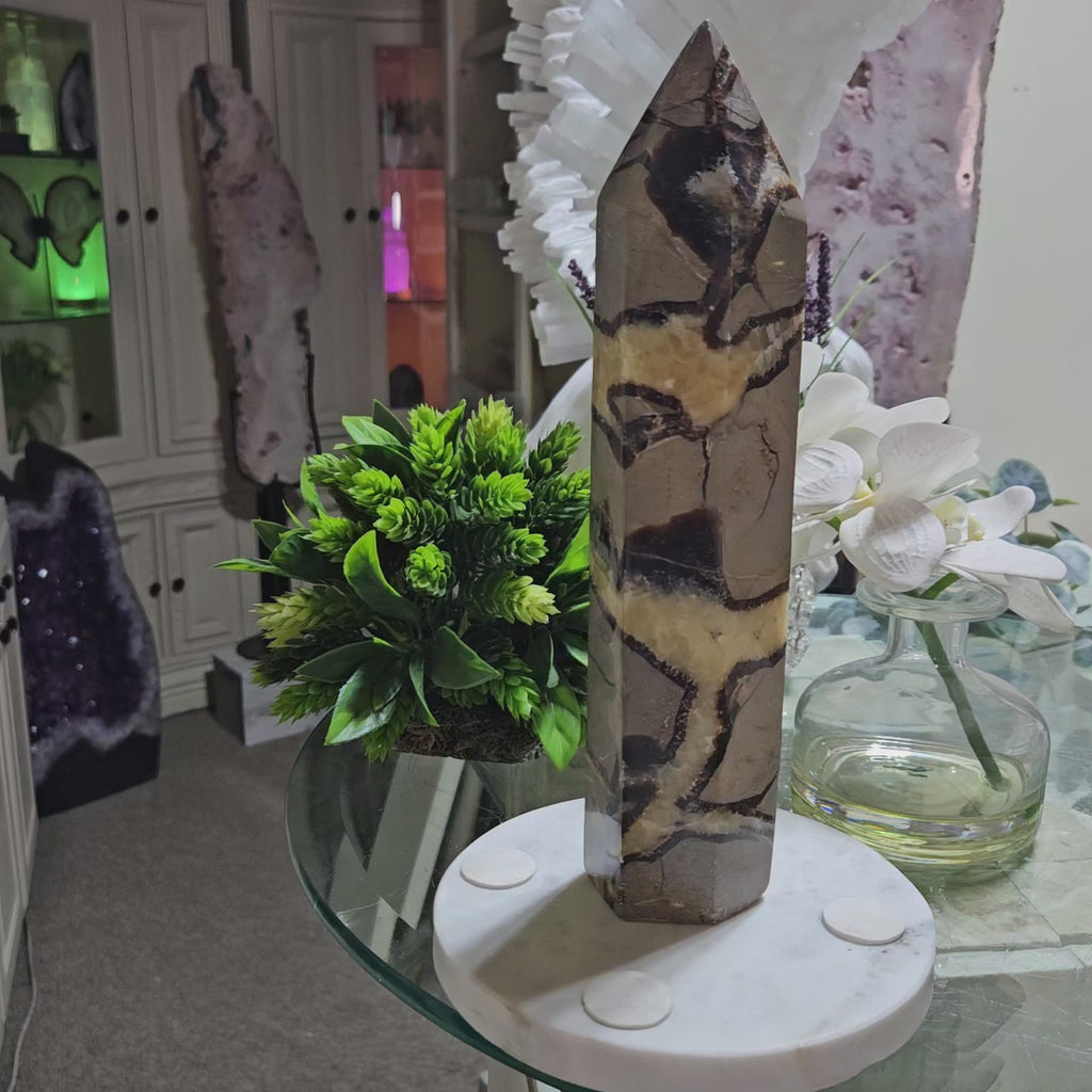 Septarian Obelisk, Point

CHIQUE Rock Shop