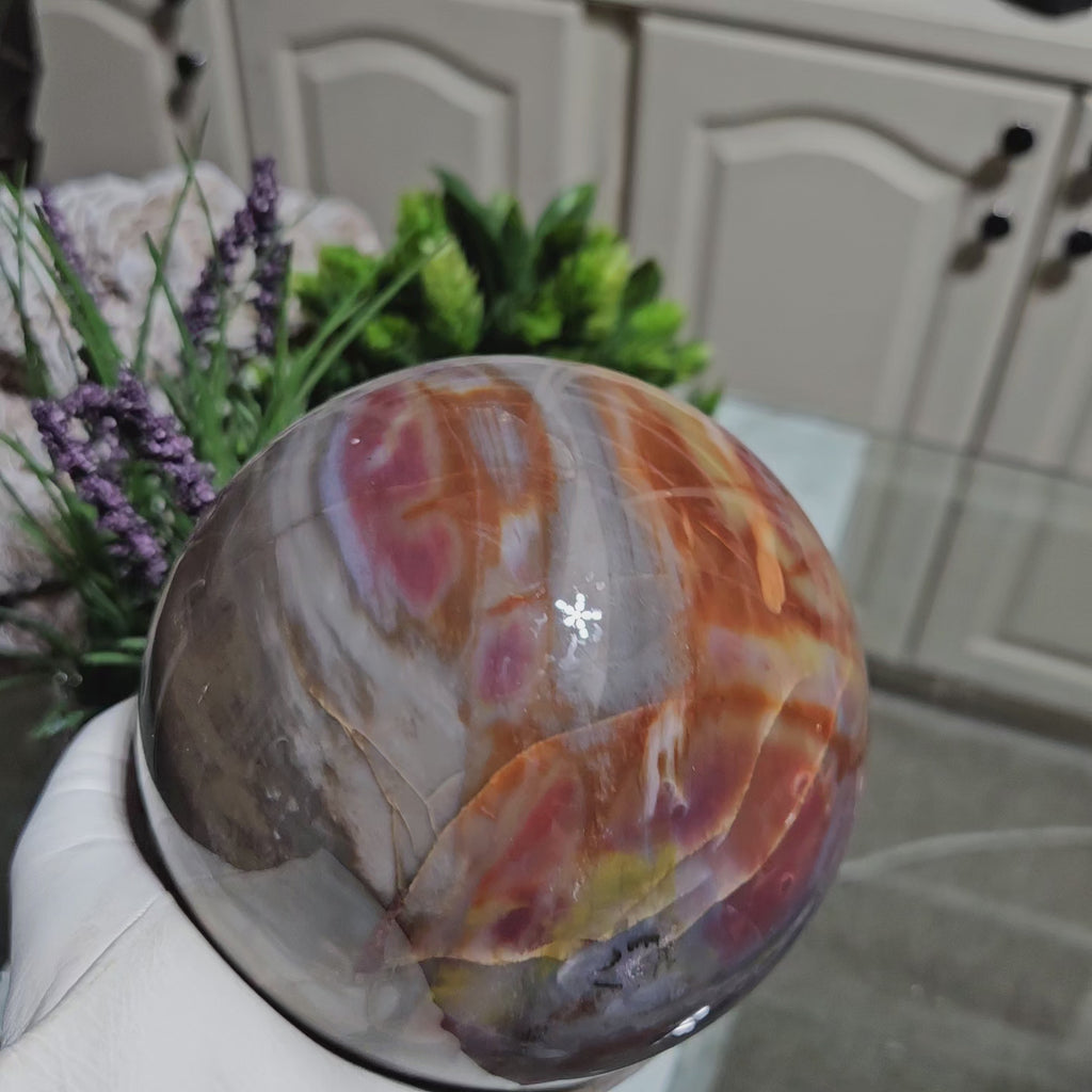 Petrified Wood Sphere held by a gloved hand.

CHIQUE Rock Shop
