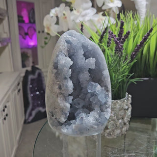 Celestite Crystal

CHIQUE Rock Shop 