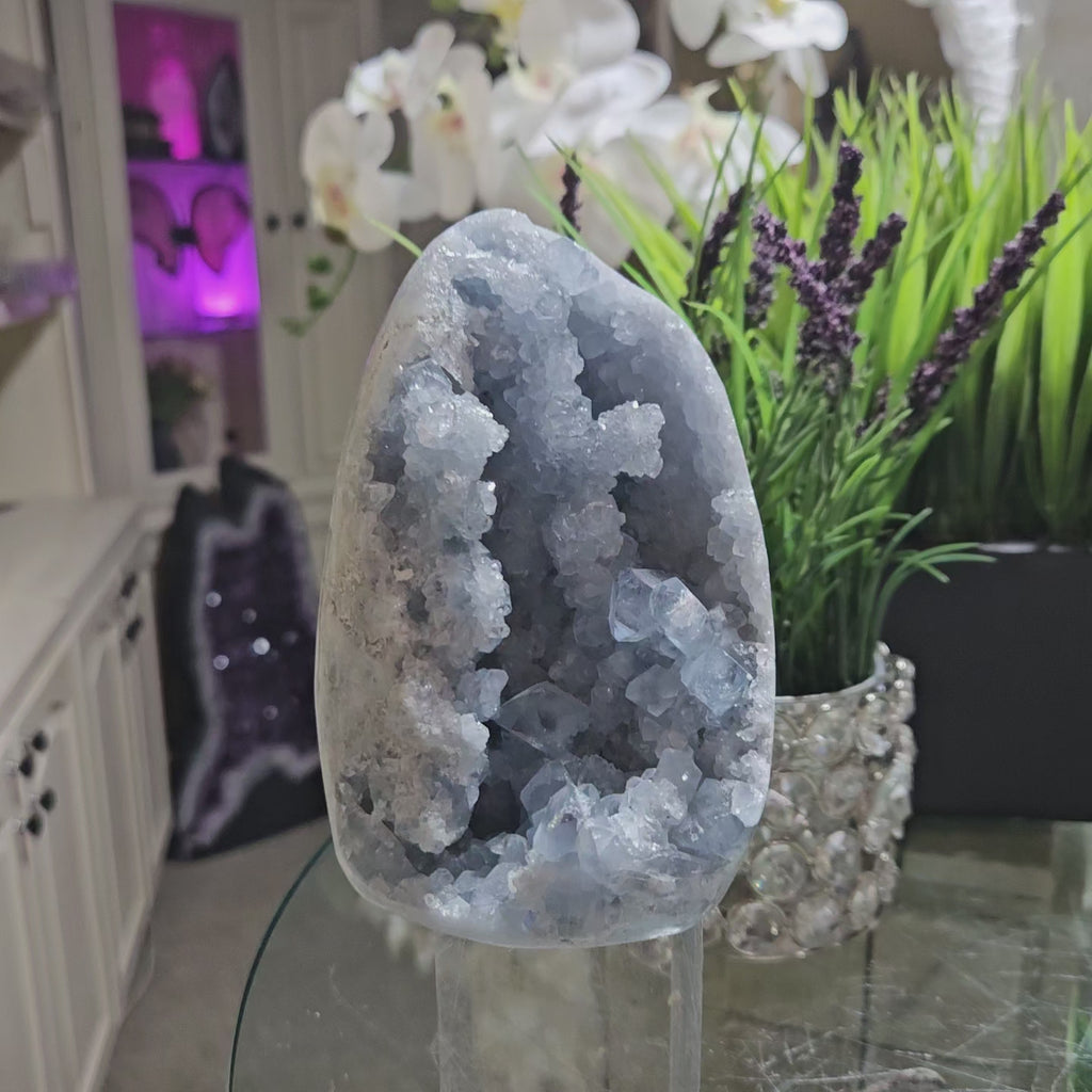 Celestite Crystal

CHIQUE Rock Shop 