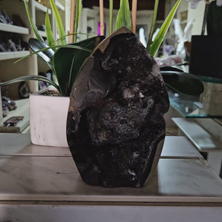 Decorative Septarian Dragon Stone sculpture on a plant with a marble wall background

CHIQUE Rock Shop 