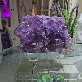 Amethyst Crystal Cluster

CHIQUE Rock Shop