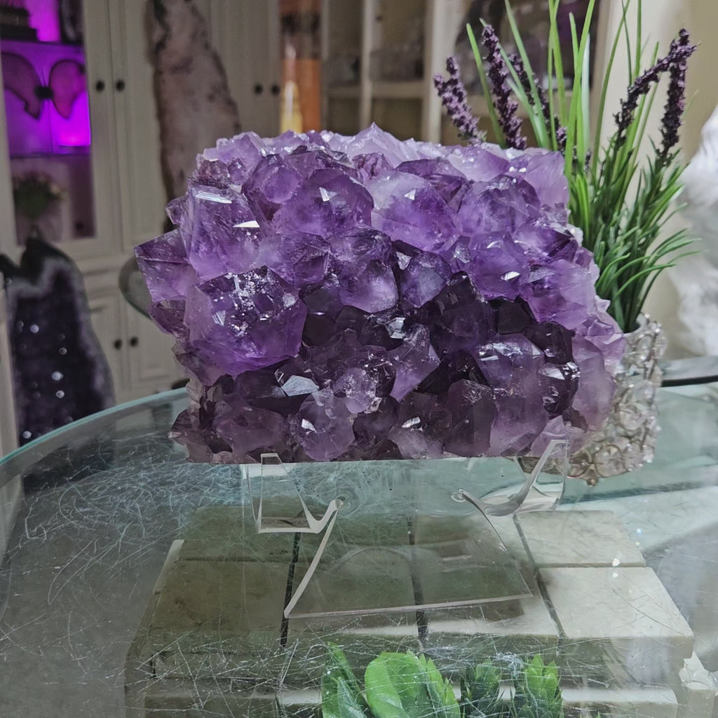 Amethyst Crystal Cluster

CHIQUE Rock Shop