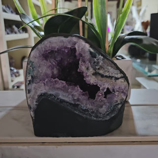 Amethyst Crystal Geode plants in background

CHIQUE Rock Shop 