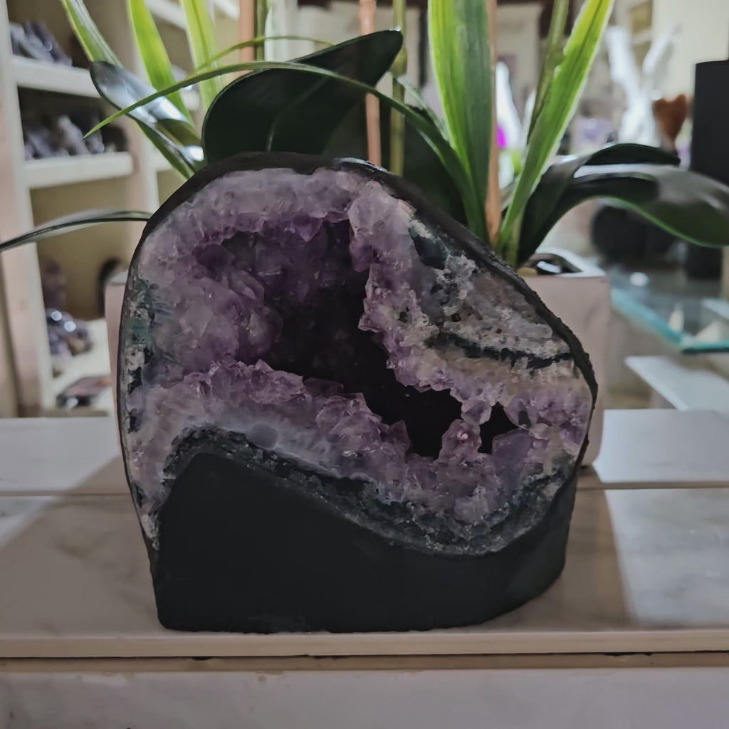 Amethyst Crystal Geode plants in background

CHIQUE Rock Shop 