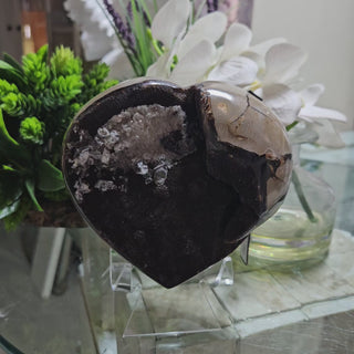Septarian Heart

CHIQUE Rock Shop