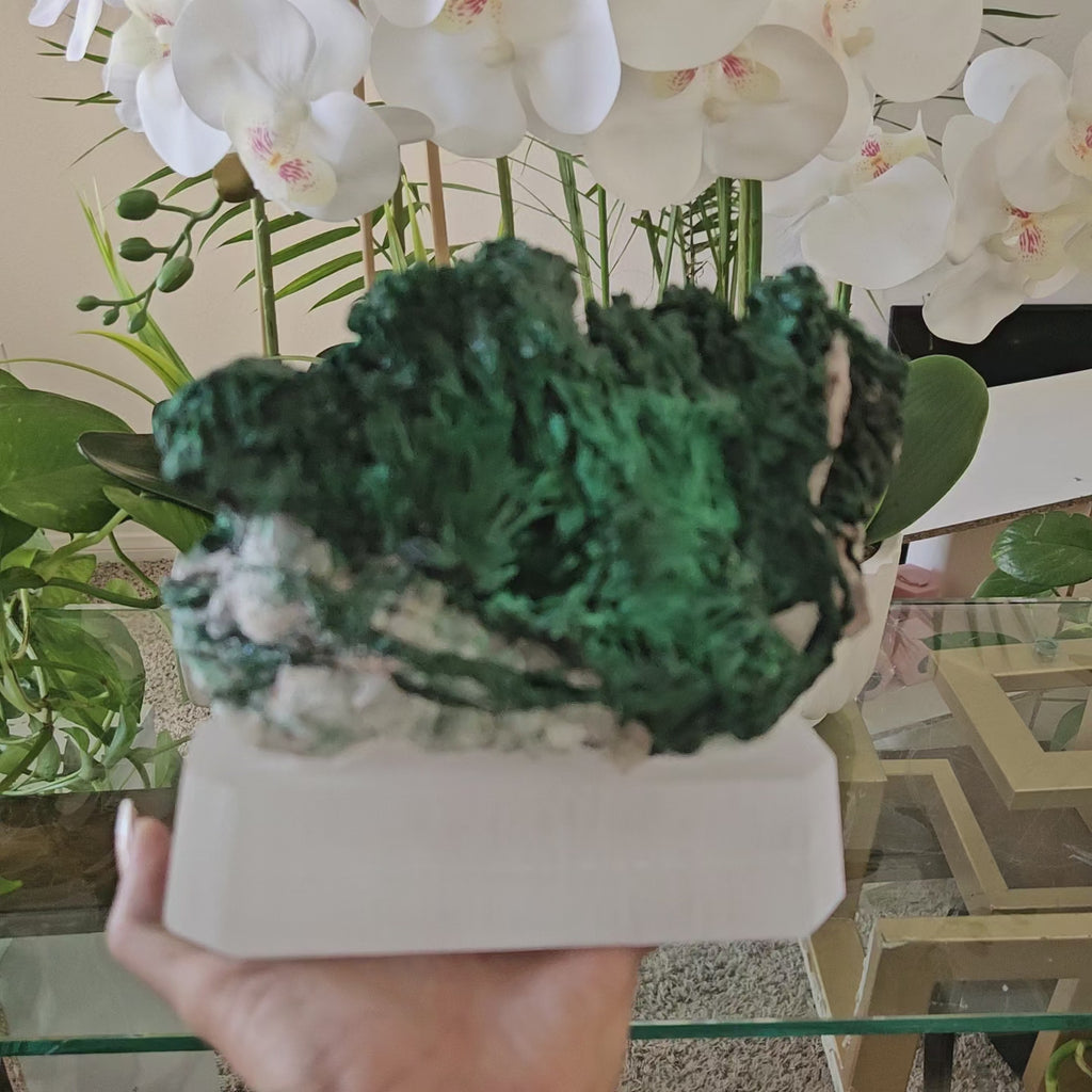 Malachite Specimen on Clear Stand

CHIQUE Rock Shop